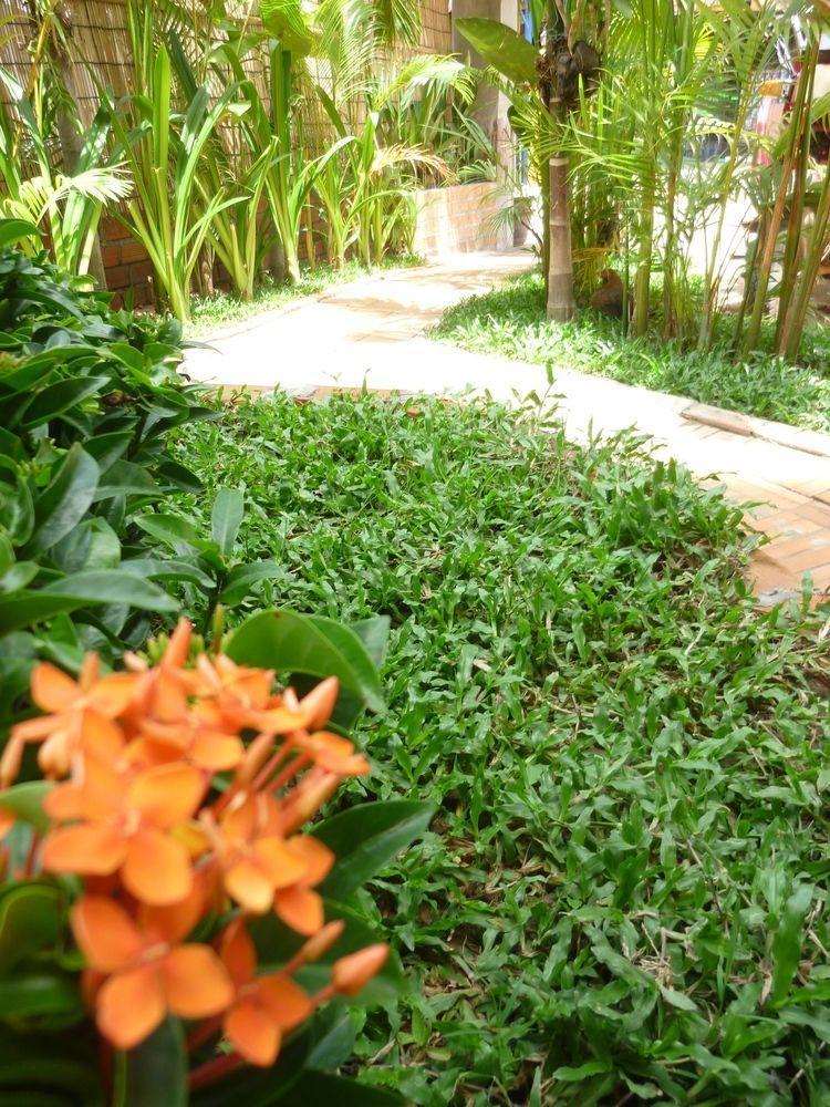 Angkor Reas Guesthouse Siem Reap Exterior photo